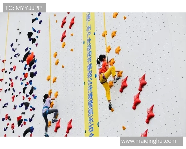 运动数据南京攀岩队的控制打法分析与战术应用深度解读